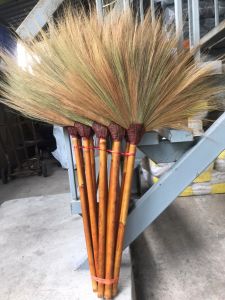 ไม้กวาดดอกหญ้าด้ามไม้ (5 ด้าม)