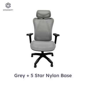 Ergoseat T15 Urbansit Ergonomic Home Office Chair Full Mesh Computer Chair