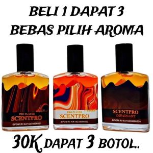 Ainna SCENTPRO Premium Parfum for Dominant Pro Players
