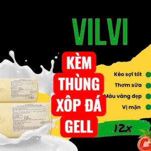 ( GIÀO TOÀN QUỐC) 500G PHÔ MAI MOZARALLA HIỆU VILVI KÉO SỢI KÈM THÙNG XỐP ĐÁ GELL