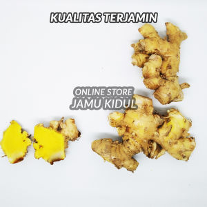 Bangle 250 GR / Bengle / Panglai Segar