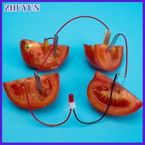 ZHUYUN 1 Set Children Bio Energy Science Kit Potato Fruit Supply Electricity Experiment