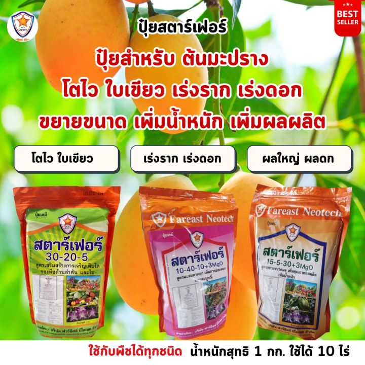 %E0%B8%A1%E0%B8%B0%E0%B8%9B%E0%B8%A3%E0%B8%B2%E0%B8%87%20%E0%B9%82%E0%B8%95%E0%B9%84%E0%B8%A7%20%E0%B9%83%E0%B8%9A%E0%B9%80%E0%B8%82%E0%B8%B5%E0%B8%A2%E0%B8%A7%20%E0%B9%80%E0%B8%A3%E0%B9%88%E0%B8%87%E0%B8%A3%E0%B8%B2%E0%B8%81%20%E0%B9%80%E0%B8%A3%E0%B9%88%E0%B8%87%E0%B8%94%E0%B8%AD%E0%B8%81%20%E0%B8%82%E0%B8%A2%E0%B8%B2%E0%B8%A2%E0%B8%82%E0%B8%99%E0%B8%B2%E0%B8%94%20%E0%B8%9C%E0%B8%A5%E0%B9%83%E0%B8%AB%E0%B8%8D%E0%B9%88%20%E0%B8%9C%E0%B8%A5%E0%B8%94%E0%B8%81%20%E0%B9%80%E0%B8%9E%E0%B8%B4%E0%B9%88%E0%B8%A1%E0%B8%99%E0%B9%89%E0%B8%B3%E0%B8%AB%E0%B8%99%E0%B8%B1%E0%B8%81%20%E0%B9%80%E0%B8%9E%E0%B8%B4%E0%B9%88%E0%B8%A1%E0%B8%84%E0%B8%B8%E0%B8%93%E0%B8%A0%E0%B8%B2%E0%B8%9E%20%E0%B8%9C%E0%B8%A5%E0%B8%9C%E0%B8%A5%E0%B8%B4%E0%B8%95%20%E0%B8%94%E0%B9%89%E0%B8%A7%E0%B8%A2%20%E0%B8%9B%E0%B8%B8%E0%B9%8B%E0%B8%A2%20%E0%B8%AA%E0%B8%95%E0%B8%B2%E0%B8%A3%E0%B9%8C%E0%B9%80%E0%B8%9F%E0%B8%AD%E0%B8%A3%E0%B9%8C%20-%20Image%202