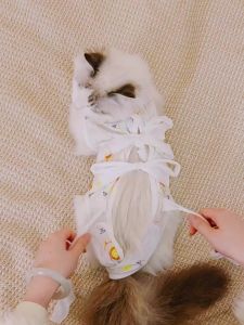 PETWELL Cat Surgical Recovery Suit Protective Pet Clothing for Post-Surgery Healing and Comfort