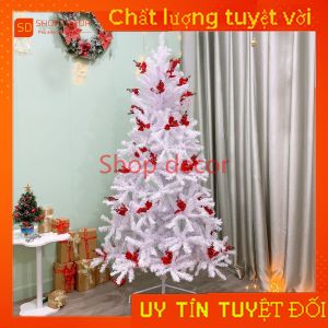 Cây thông noel 2.1M lá màu trắng trang trí trái đỏtán dày rộng nhiều nhánh trang trí giáng sinh noel