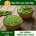Hạt giống Đậu Hòa Lan (Đậu Hà Lan) Ăn Hạt ( Lấy Hạt) Rất Nhiều Dinh Dưỡng Và Vitamin, Chế Biến Thành Rất Nhiều Món Ăn (Gói 20 Gram) - Nông Sản Vàng. 