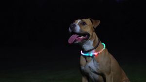 Nite Ize NiteHowlRechargeable LED Safety Necklace Disc-O Select - Light Up Dog Necklace with LED Lights - Dog Accessories with Rechargeable Batteries - Mini Disc-O Select