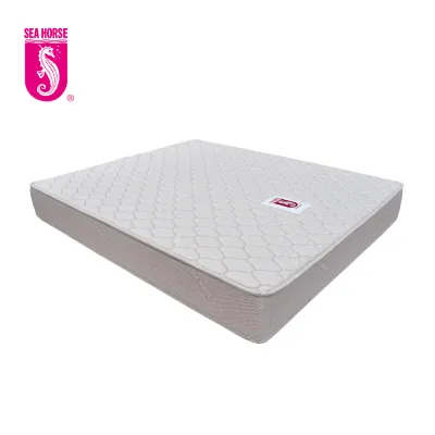 SEA HORSE SEA ALL model Foam Mattress! Ready stock!