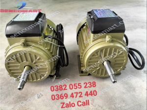 Động cơ motor điện 1 pha 11kw(15 ngựa) 2900v/p đủ công suất dây điện từ 100%