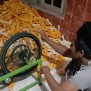 Peralatan Masak Elektronik: Pocelan Jagung Listrik 150 Watt