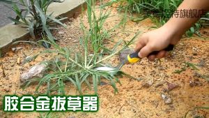 Garden Handle Digging Puller Tool Garden Weeder Tool Hand Grass Bend-proof Weed Puller Stainless Steel Manual Weeder Wood Handle Stainless Steel Garden Weeder Hand Weeding Removal Cutter Dandelion Puller Tools