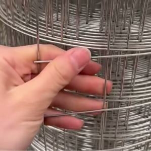Hot Dip Galvanized Wire Mesh Fence Breeding Fence Chicken Anti-Rat Steel Wire Mesh Bold Welded Wire Mesh Plastering Mesh