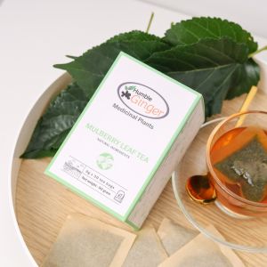 Humble Ginger: Mulberry Leaf Tea: Blood sugar/Cholesterol: Best before Jan 2026