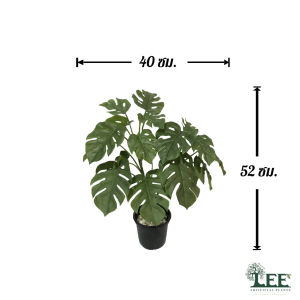 ( สินค้าใหม่ ) ต้นมอนสเตอร่า รุ่น "2 ง่าม มินิ" สูง 50 ซม. ( ต้นไม้ปลอม ต้นไม้ประดิษฐ์ Leeartplants )