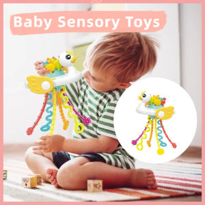 Montessori Pull String Sensory Toys Baby 6 12 Months Silicone Activity Toys Development