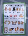 LAMINATED LEARNING MATERIALS. 