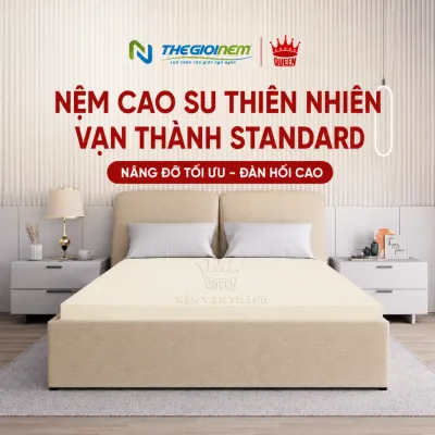 [Trả góp 0%] Nệm 100% cao su thiên nhiên Vạn Thành Standard 160x200x5cm -Bảo hành 12 năm-Nâng đỡ tối ưu êm ái độ đàn hồi cao.