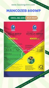 mancozeb BYPHAN 800WP gói 1kg  bệnh thán thư hại cây ăn trái và ớt bệnh đốm lá hại rau bệnh rỉ sắt hại cà phê.