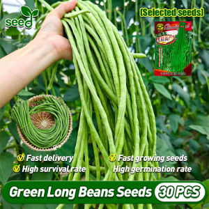 [Selected Seeds]30pcs/bag Green Long Beans Seeds for Planting Vegetables Long String Beans Seeds Fresh Sitaw Beans Vegetable Seeds for Gardening Potted Vegetable Live Plants Balcony Growing Vegetables Seedlings Pole Beans Veggies Plants Fast Growing Seeds