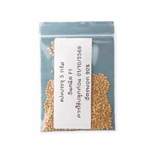 เมล็ดมะเขือยาวสีม่วง ลูกผสม อินทนิล ตราซีดไลน์ ขนาด20กรัม เมล็ดพันธุ์มะเขือยาวสีม่วง เมล็ดพันธุ์มะเขือยาวสีม่วง เมล็ดมะเขือยาวม่วง