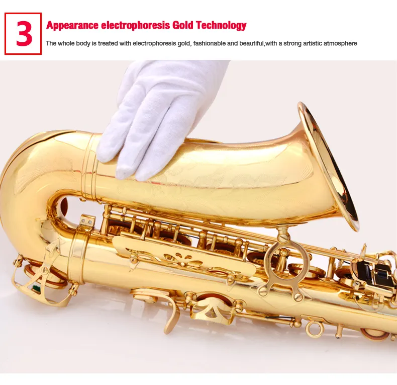  Brass Trumpet, Saxophone Adult Trumpet Beginner