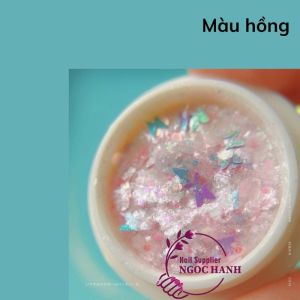Kim tuyến bột bướm trang trí móng – PN005