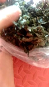 200g Lá đắng rừng tây bắc
