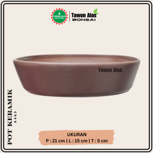 Pot Bonsai Keramik Oval - tulis
