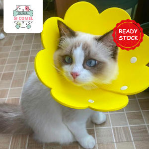 [Clearance Stock Malaysia] Ship 24 Hours⚡ Sunflower Cat Neck Ring Anti Licking and Scratch Kolar Kucing Pet Accessory