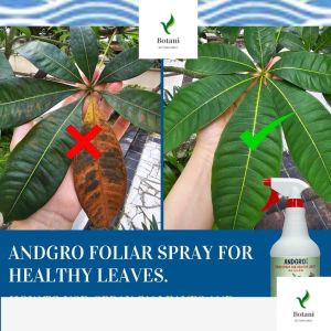 (BotanicaBay)Foliar Spray for Healthy Leaves (1000ml) - Boost Lush Healthy Leaves Fast!