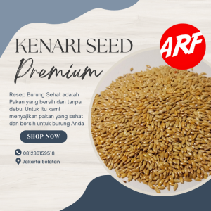 Pakan Burung KENARI SEED 500Gram MAKANAN BURUNG Kenari Burung Lovebird Burung Finch Dll