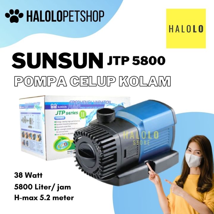 SunSun CQP-4500P ECO Pompe de Bassin pour Cours d'eau ou Filtre 4500 l