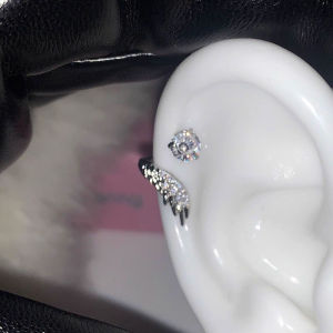 Salime 2Pcs Versatile Exquisite Shiny Wing Ear Bone Nail For Women Fashion Personalized Piercing Earrings Jewelry Accessories Gifts