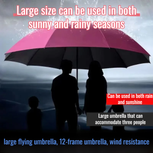 Double Folding Umbrella Sunny and rainy Dualuse 12 Bone Wind Resistance Large Foldable Umbrella