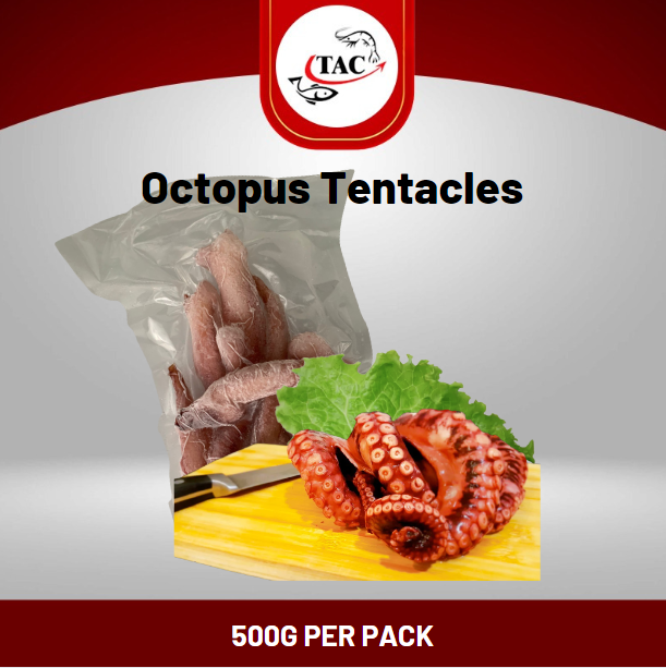 Octopus (Tako) Tentacles 500g Gross | Lazada Singapore