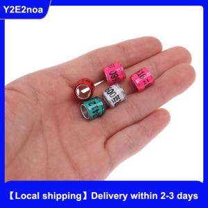 【Local shipping】 20 pcs Pigeon Foot Ring With Word Earrings 2024 Multicolor Bird Tools
