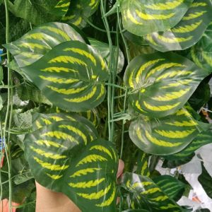 Hiasan Daun Rambat Plastik Warna Hijau Emas Palsu Dekoratif Meteran