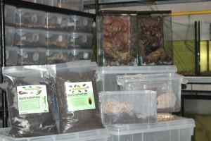 ดินเลี้ยงไอโซพอท(isopod) วัสดุรองพื้น พีชมอส Multi substrate ขนาด 3 ลิตร