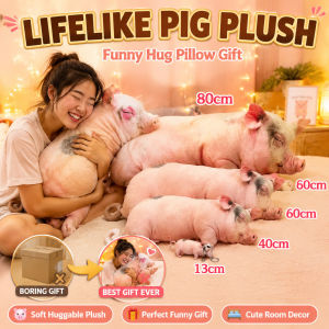 Pig Plush Toy/Plush Pillow/Cute Pig Keychain/Sleeping Companion/Ugly Cute Pig/Home Decoration/Soft Cushion/Gift for Kids