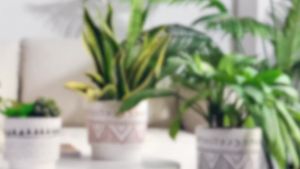 Geometric Ceramic Planters 6 Inch Hand-Painted Ceramic Embossed Plant Pots with Drainage Holes 2 Set Boho Minimalistic Planters for Indoor and Outdoor Plants(Beige & Brown)