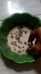 magnet batu beras 30*15mm neodymium type terkuat N52