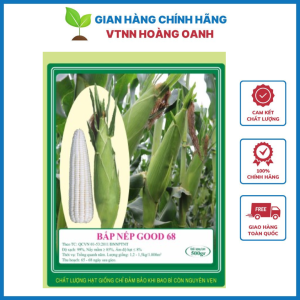Hạt Giống Bắp Nếp F1 Good68 - Gói 500gr