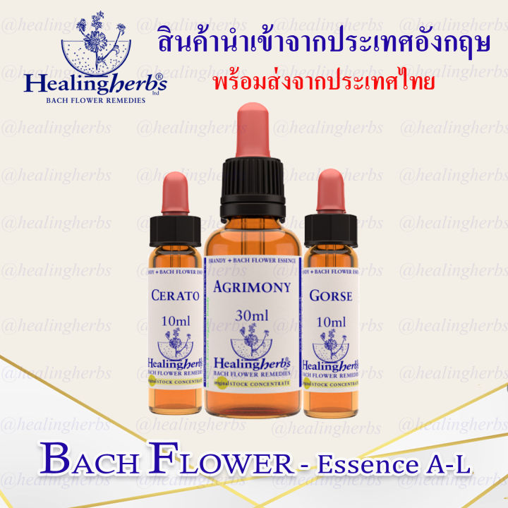 Bach Flower Essences AL Lazada.co.th