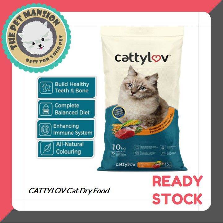 Dry cat best sale food cats love