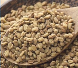 Virasat Fenugreek or Methi Seeds 100G - by ANNALAN Online Shop