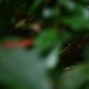 Weatherproofed Folding Sunblocks Shade Cloth Camping Outdoor Rain Cover for Beach Camping Trip