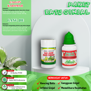 Obat Herbal Batu GinjalInfeksi GinjalObat Kencing Batu
