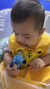 🇲🇾𝐑𝐄𝐀𝐃𝐘 𝐒𝐓𝐎𝐂𝐊🇲🇾 Silicone Dummy Food Bites Fruit Nibbler Teether Baby Rattle Food Feeder Bite Silicon