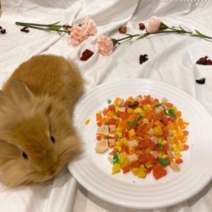 Natural dried mix fruit salad pet rabbit chinchilla guinea pig hamster snack toy chew treat food (50g)