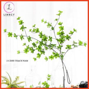Cành thạch nam xanh mướt dài 110 trang trí nhà cửa cửa hàng văn phòng làm đạo cụ chụp ảnh